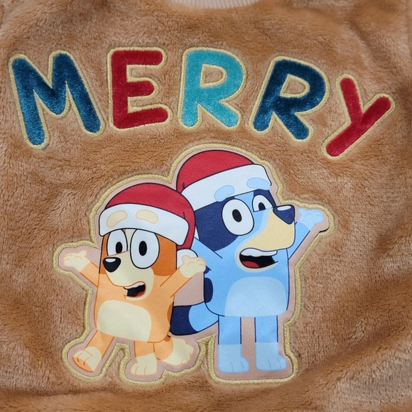 NEW Disney Bluey "merry" cozy Woobie Pullover size 18M Unisex - Picture 6 of 17